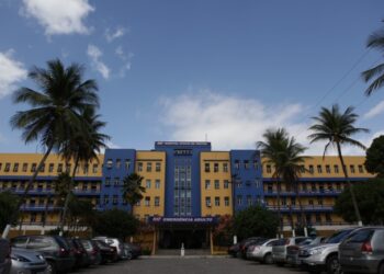 Cachorro da raça pitbull ataca criança de 9 anos no bairro do Torrões