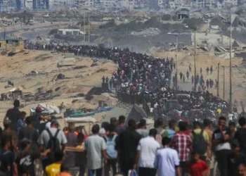 Exército israelense anuncia início do cessar-fogo em Gaza