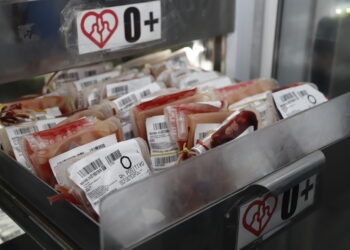 Hemope inicia campanha “Dezembro Solidário: Doe Sangue, Doe Amor” e reforça a necessidade de doações de sangue