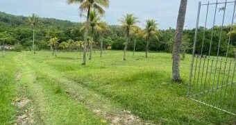 Operação Pitanga desarticula grupo criminoso que atuava em granjas de Igarassu