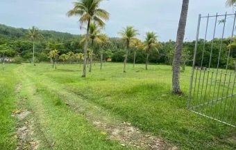 Operação Pitanga desarticula grupo criminoso que atuava em granjas de Igarassu