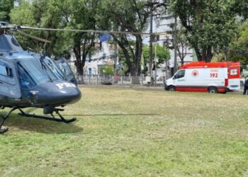 Homem se desequilibra e cai de ponte de 6 metros de altura após ataque de abelhas