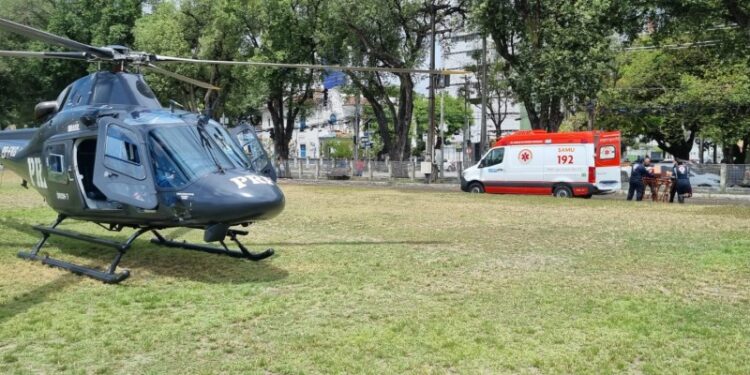 Homem se desequilibra e cai de ponte de 6 metros de altura após ataque de abelhas