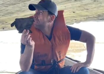 Eduardo Moura realiza fiscalização na ponte giratória e aponta graves irregularidades