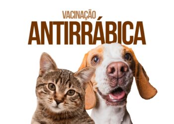 Ação de vacinação antirrábica acontece neste fim de semana no Parque Santos Dumont, em Boa Viagem