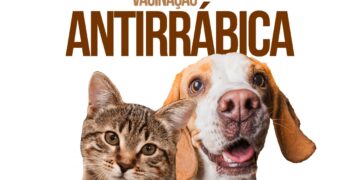 Ação de vacinação antirrábica acontece neste fim de semana no Parque Santos Dumont, em Boa Viagem