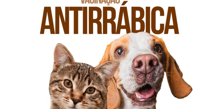Ação de vacinação antirrábica acontece neste fim de semana no Parque Santos Dumont, em Boa Viagem