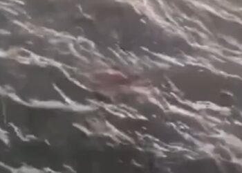 Corpo de homem é encontrado boiando na praia de Pau Amarelo, no Grande Recife