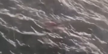 Corpo de homem é encontrado boiando na praia de Pau Amarelo, no Grande Recife