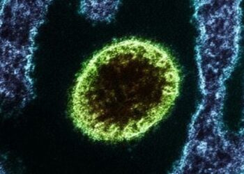 Índia confirma surto do vírus Nipah. Mais de 100 pessoas estão em quarentena