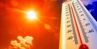 Verão e calor extremo exigem atenção à hidratação e à saúde digestiva