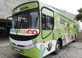 Pernambuco oferece mais de 33 mil castrações e microchipagens gratuitas de cães e gatos