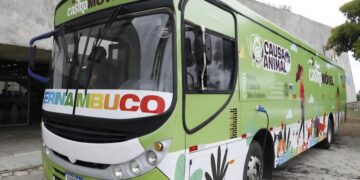 Pernambuco oferece mais de 33 mil castrações e microchipagens gratuitas de cães e gatos