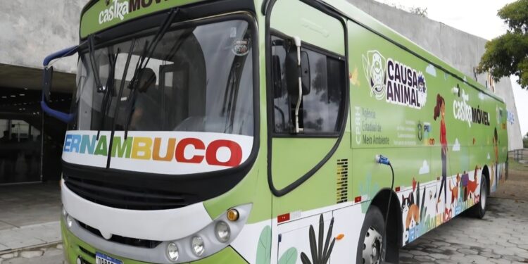 Pernambuco oferece mais de 33 mil castrações e microchipagens gratuitas de cães e gatos