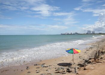 Após ataque de tubarão, Cemit avalia fechamento temporário da Praia de Del Chifre