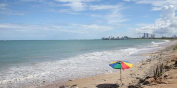 Após ataque de tubarão, Cemit avalia fechamento temporário da Praia de Del Chifre