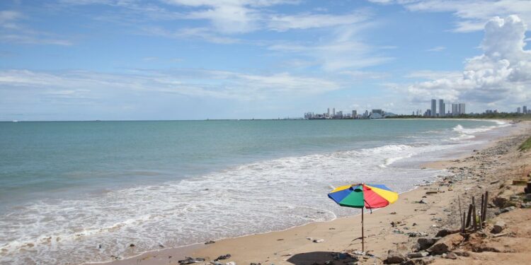 Após ataque de tubarão, Cemit avalia fechamento temporário da Praia de Del Chifre