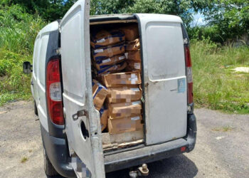 Mais de meia tonelada de pescados irregulares é apreendida pela PRF na BR 101, no Recife