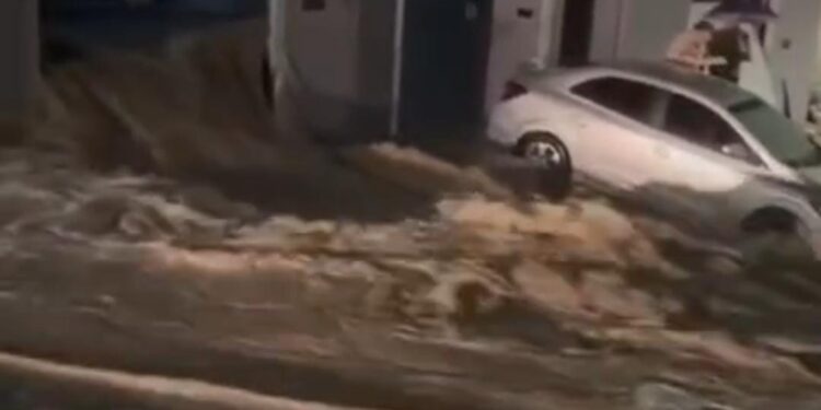 Chuvas registradas no agreste deixam mais de 900 desabrigados e desalojados