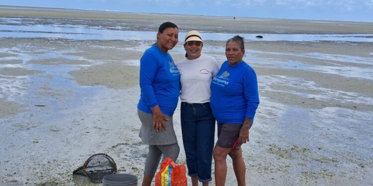 Em Igarassu, trabalho das marisqueiras ganha um novo capítulo com políticas públicas locais