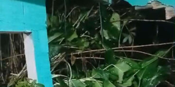 Muro desaba e deixa duas pessoas feridas em Camaragibe