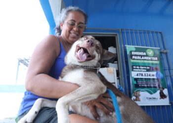 Prefeitura de Jaboatão promove mutirão de castração gratuita para cães e gatos