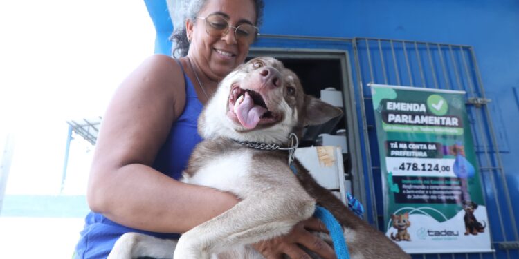 Prefeitura de Jaboatão promove mutirão de castração gratuita para cães e gatos