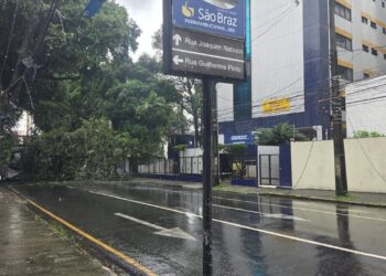 Árvore cai no Recife, atinge ônibus, interdita via e deixa ruas sem energia