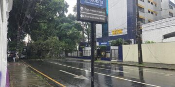 Árvore cai no Recife, atinge ônibus, interdita via e deixa ruas sem energia