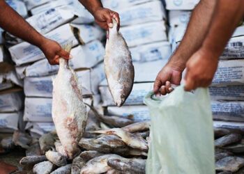 Olinda anuncia esquema de funcionamento do “circuito do peixe” para esta quinta (2) e Sexta Santa
