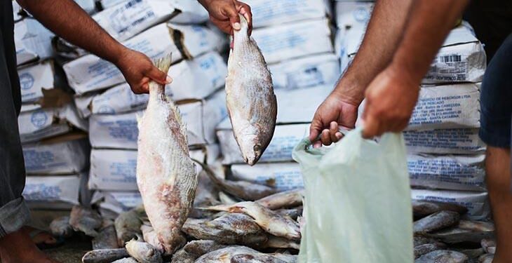 Olinda anuncia esquema de funcionamento do “circuito do peixe” para esta quinta (2) e Sexta Santa