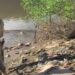 Ilha usada como ‘centro logístico’ do crime organizado é alvo de operação no Recife