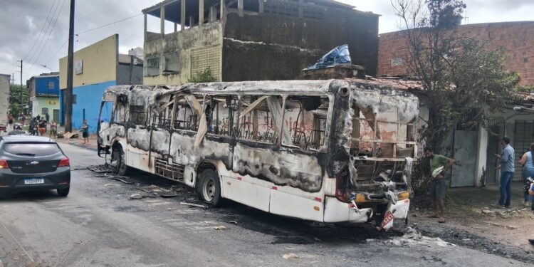Cinco pessoas ateiam fogo em ônibus na BR-101