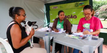Programa estadual de castração gratuita de cães e gatos retorna ao Recife e a Olinda com mais de 200 atendimentos por dia