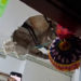 Forro de gesso em setor do Hospital Getúlio Vargas, desaba
