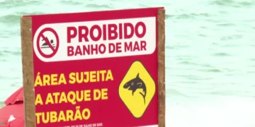 Tubarão cabeça-chata foi responsável por ataque a menino de 11 anos em Piedade