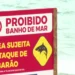Tubarão cabeça-chata foi responsável por ataque a menino de 11 anos em Piedade