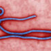 Governo descarta um dos casos suspeitos de ebola no Brasil
