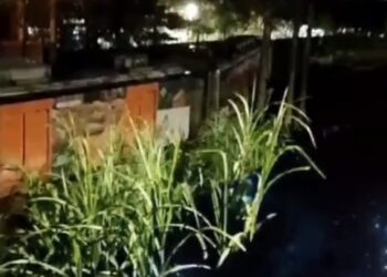 Trem do Metrô do Recife descarrilha pela segunda vez em menos de uma semana
