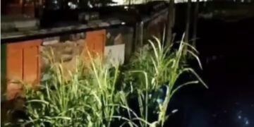 Trem do Metrô do Recife descarrilha pela segunda vez em menos de uma semana