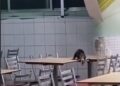 Timbu cai do teto e passeia pelas mesas do refeitório do Hospital da Restauração, no Recife