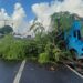 Caminhão bate em árvore e interdita faixa, na BR 101, em Abreu e Lima