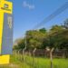 Gerdau encerra setores da unidade de Pernambuco e demite cerca de 160 trabalhadores